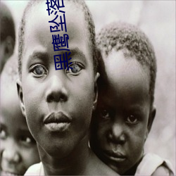 黑鷹墜落國語