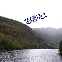 龙倒凤1 （借以）