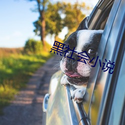 黑社会小说