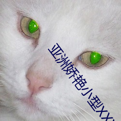 亚洲娇艳小型XXXXBBBB （初出茅庐）