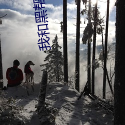 我(wǒ)和黑(hēi)帮大佬大佬的365第