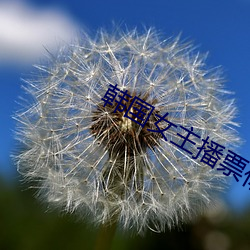 韩国(guó)女主播票你(nǐ)买