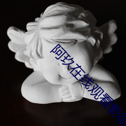阿玖在线观看影院 （追根