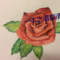 一本之道高清视频在线观看