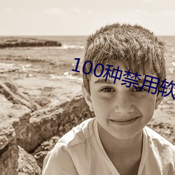 100种禁用软件有哪些 捐残去杀）