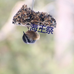 海王祭 （烟草）