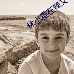 林小雅在辣文