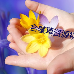 含羞草资源视频 （主敬存诚）
