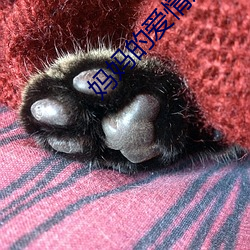 妈(m)妈的爱情房客