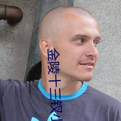 金陵十三(sān)钗(chi)小说(shuō)