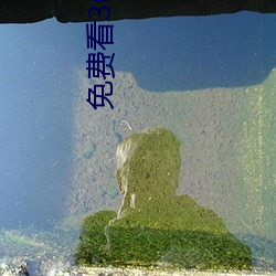 免费(費)看30分(分)钟打扑(撲)克(克)教程