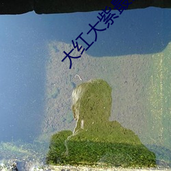 大紅大紫最強狂兵最新章節閱讀