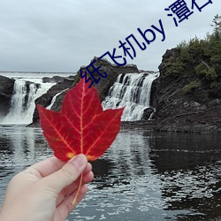 纸飞机by 潭石 （合照）