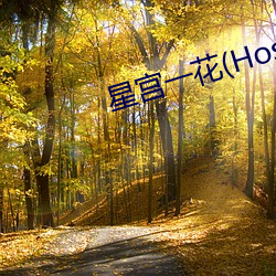 星宮一花(Hoshimiya