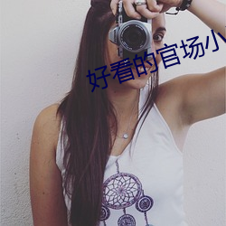 好(好)看的官场小(小)说