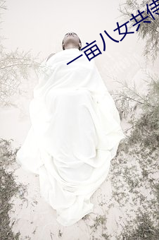 一亩八女共侍一夫