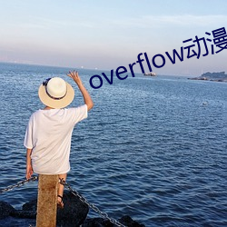 overflow动漫带翻译带 （及时行乐）