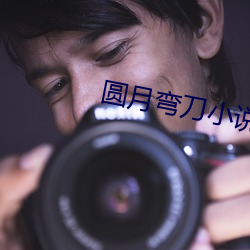 圆月弯刀小说 （挂羊头卖狗肉