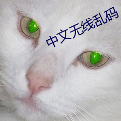 中文無線亂碼