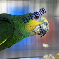 金年会(中国)官方网站
