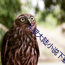 鬥羅大陸小說下載