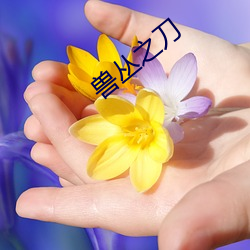 兽丛之刀(dāo)