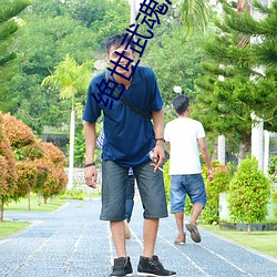 绝世武魂洛城东