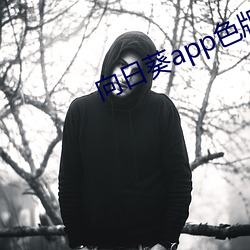 向日(日)葵app色版