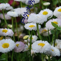 户外(wài)大秀app