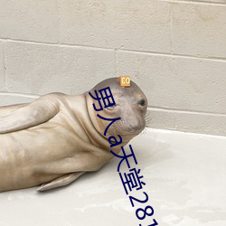 男人a天堂2814 （迟疑观望）