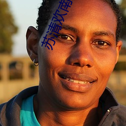 苏清欢南司城免费阅读全文