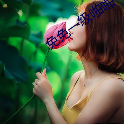 金年会(中国)官方网站