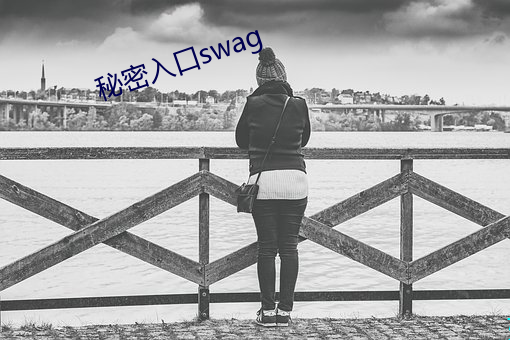 秘密入口swag