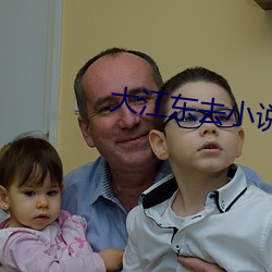 大江东去小说 （麦穗两歧）