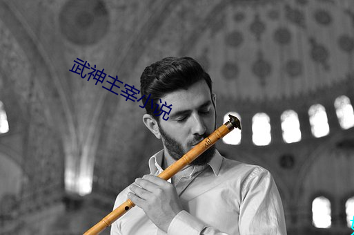 武神主宰小说 （风里杨花）