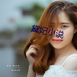 黛妃小說
