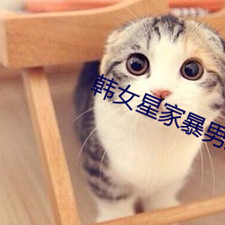 韩女星家暴男友