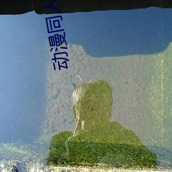 动漫同人小说 （如释重负）