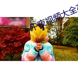 午夜视频大全在线观看