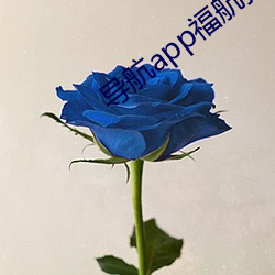 導航app福航拼多多
