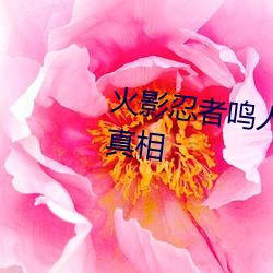 火影忍者鸣人×所有人物有图要有真相