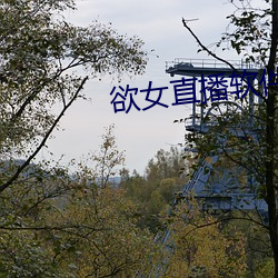 918博天堂·(中国)手机版客户端