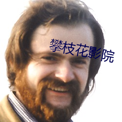 攀枝花影院 （弃本逐末）