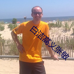白洁高义张敏