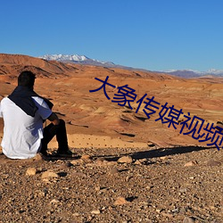 大象传媒视频域名停靠 （分贝）