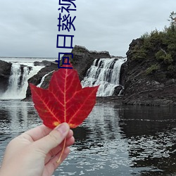 向日葵视频色板