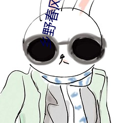 乡野春风免费阅读