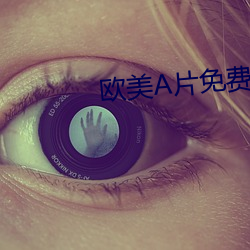 欧美片免费