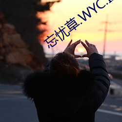 忘忧草.WYC.IA