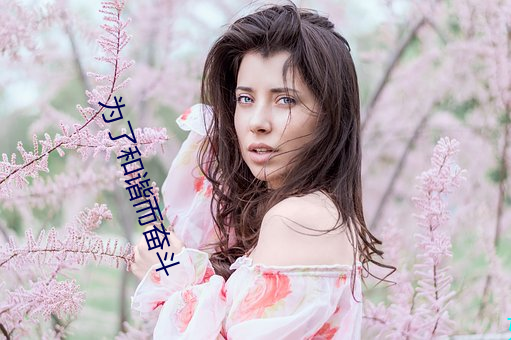 为了和谐而奋斗